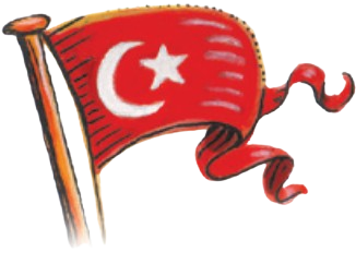 Türkçe